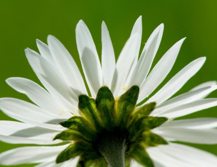 Программа лечения для пациентов с заболеваниями органов дыхания - Санаторий «Юность» Ессентуки